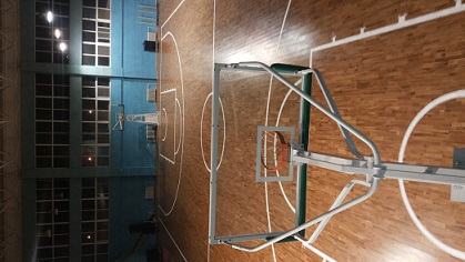 室內(nèi)運(yùn)動(dòng)木地板.jpg
