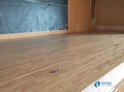 定做運動場館木地板哪個牌子較好