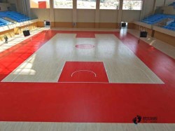 常用俄勒岡松舞臺運(yùn)動體育地板品牌