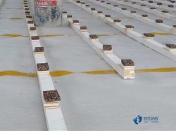 20厚籃球體育木地板哪個牌子較好