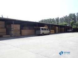 20厚籃球運(yùn)動(dòng)木地板品牌大全