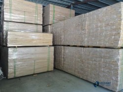 專業(yè)籃球場地板施工方案