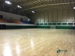 單層龍骨體育運(yùn)動(dòng)木地板保障
